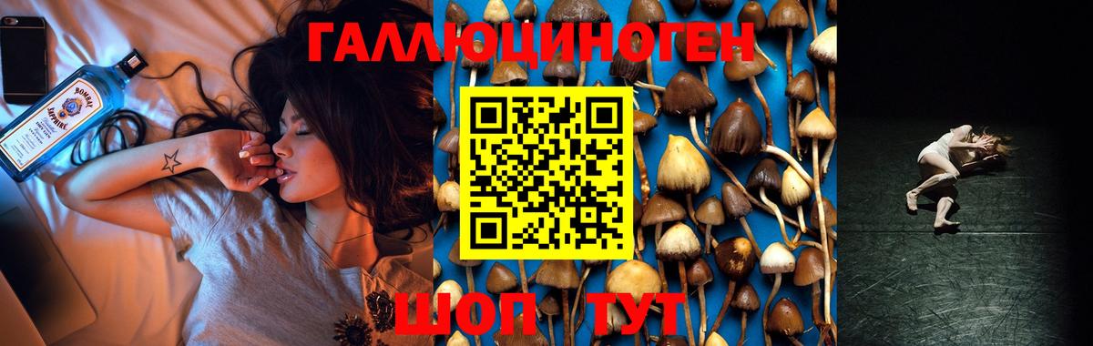 Псилоцибиновые грибы мицелий  Вход с VPN  Солнечногорск 